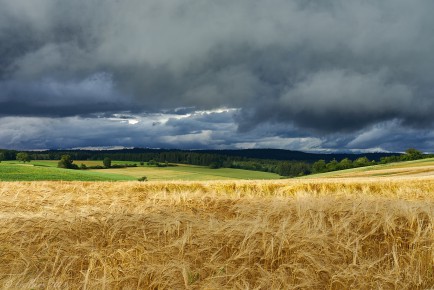 Witthoh, Gewitterstimmung I