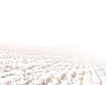 Witthoh, Seltsam im Nebel II