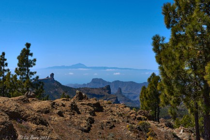 Blick vom Pico de las Nieves auf Roque Nublo und Teide I