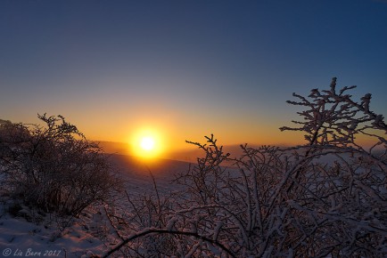 Sonnenuntergang am Witthoh