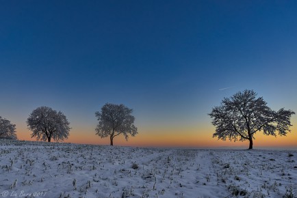 Dämmerung auf dem Witthoh