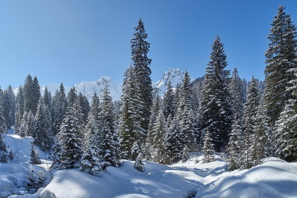 Kleinwalsertal, Bärgunttal I