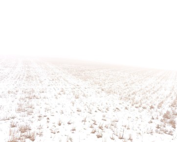 Witthoh, Seltsam im Nebel I
