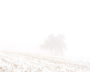 Witthoh, Seltsam im Nebel III