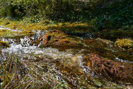 Wasserlauf, Karwendel