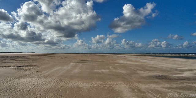 Wangerooge, Im Watt