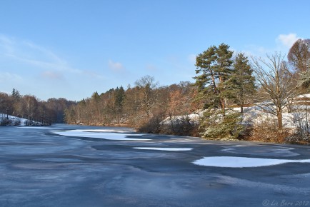 Bärensee im Winter