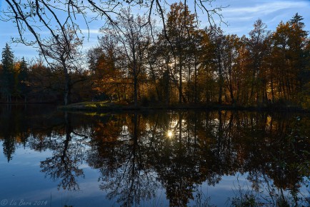 Herbst am Pfaffensee