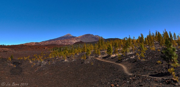Teneriffa, Am Fuß des Pico Viejo