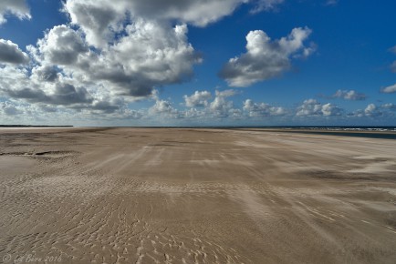 Wangerooge, Im Watt