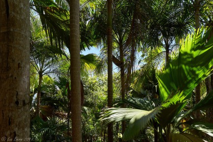 Praslin, Fond Ferdinand II