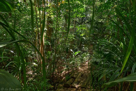 Praslin, Salazie Track
