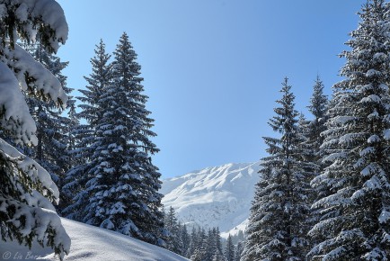 Kleinwalsertal, Bärgunttal II