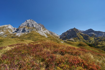 Lechquellengebirge, Roggalspitze