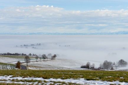 Witthoh, Blick zu den Alpen