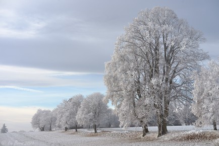 Winter auf dem Witthoh