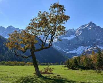 Großer Ahornboden, Karwendel
