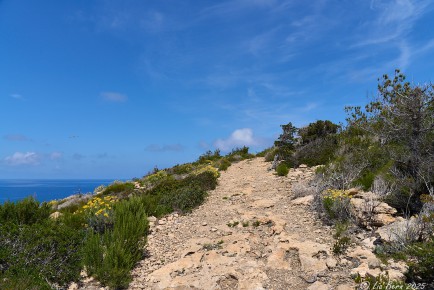 Wanderweg auf der Halbinse Xarraco, Ibiza