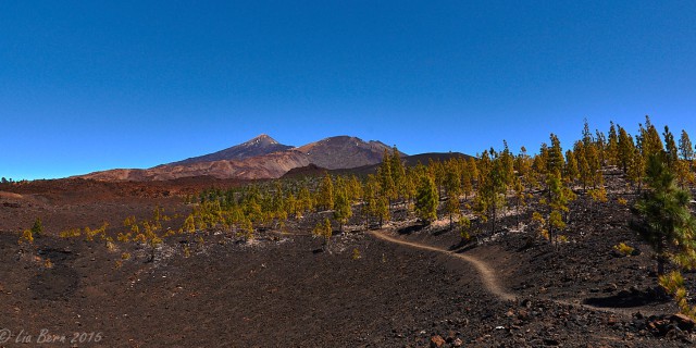 Teneriffa, Am Fuß des Pico Viejo