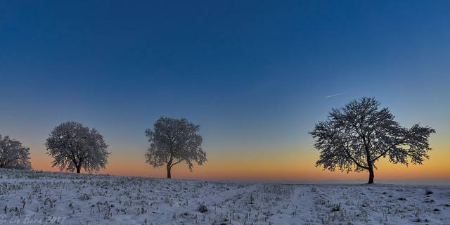 Dämmerung auf dem Witthoh